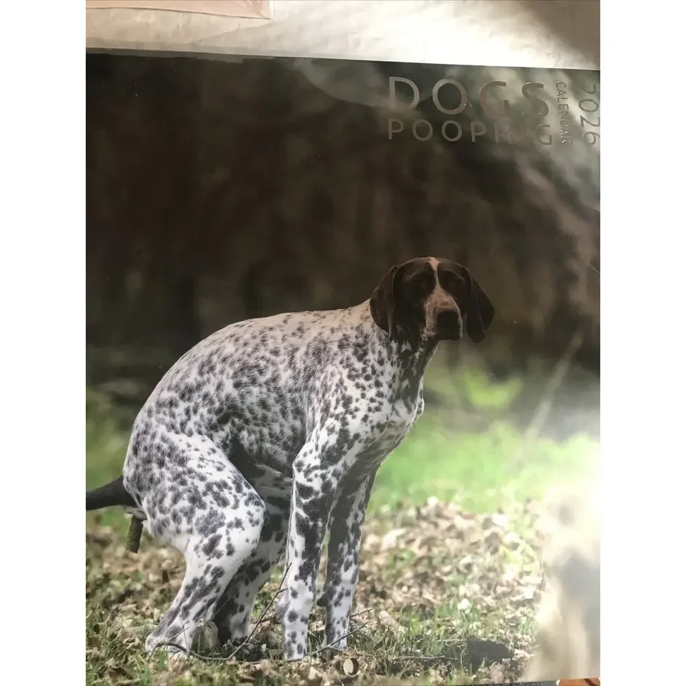 Dog Pooping Calendar 2026, 12 x 12 inch, Funny Gift, White Elephant, Gag Gift...